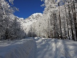 Partenza da  Macugnaga fraz. Pecetto (mt. 1358)